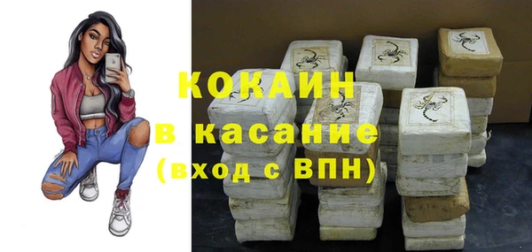 индика Арсеньев