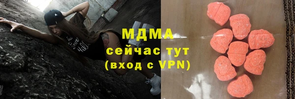 индика Арсеньев