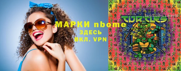 индика Арсеньев