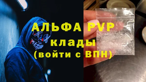 индика Арсеньев