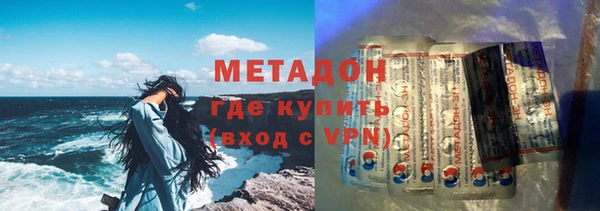 индика Арсеньев