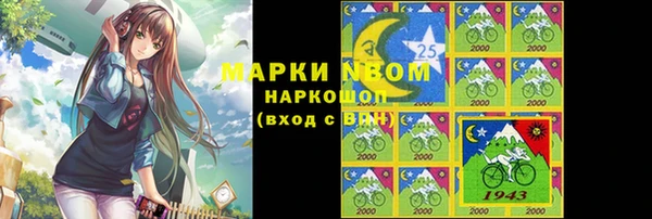 индика Арсеньев